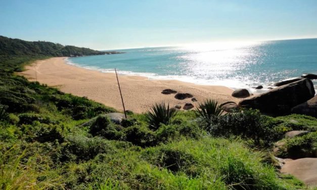 Balneário Camboriú celebra: Taquarinhas NÃO ESTÁ mais à venda!